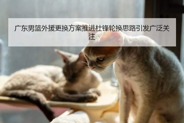 广东男篮外援更换方案推进杜锋轮换思路引发广泛关注