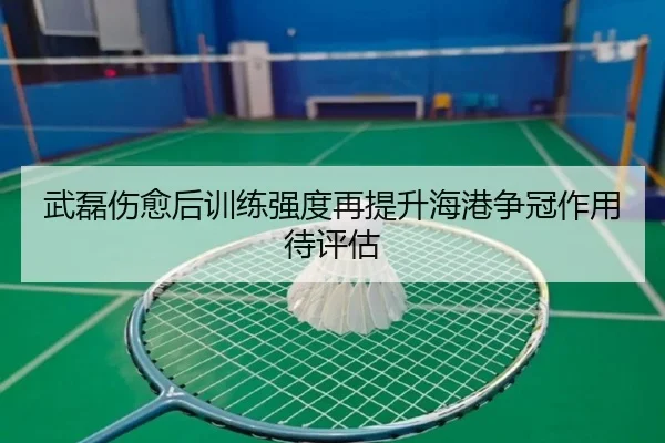 武磊伤愈后训练强度再提升海港争冠作用待评估